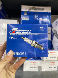 شمع Torch دو پلاتین معمولی برای کلیه خودروها